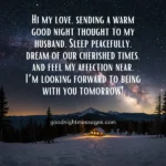 Good Night Message to Husband