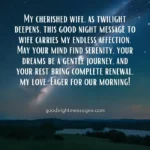 Image featuring a good night message to wife text overlay on a starry night sky with a landscape and lake below.