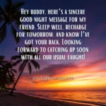 good night message for my friend
