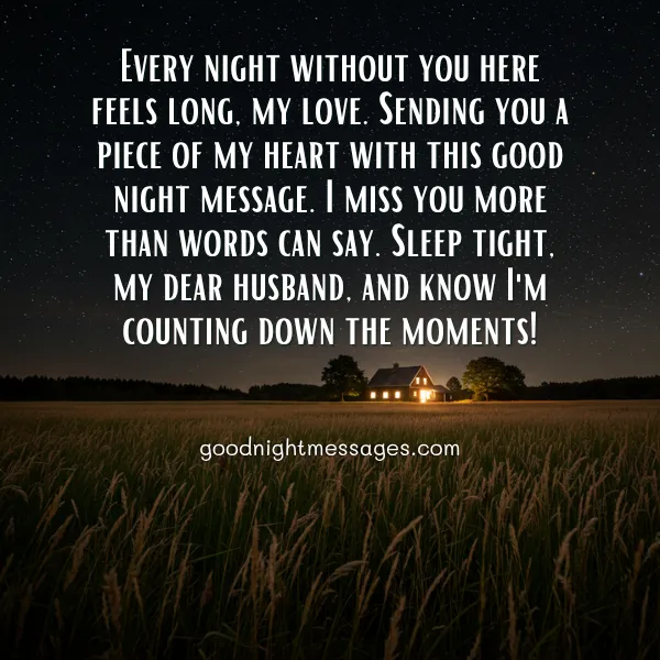 Heart Touching Good Night Message to My Husband Far Away