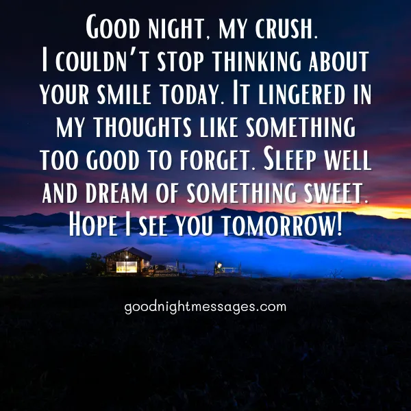 good night message for my crush