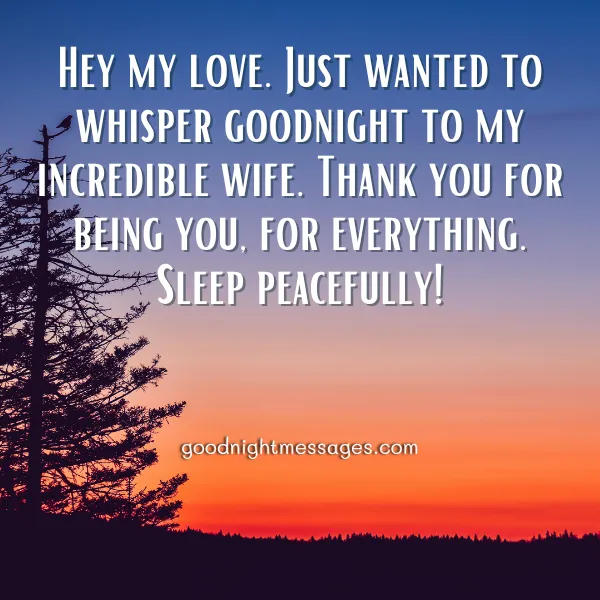 good night message for my wife