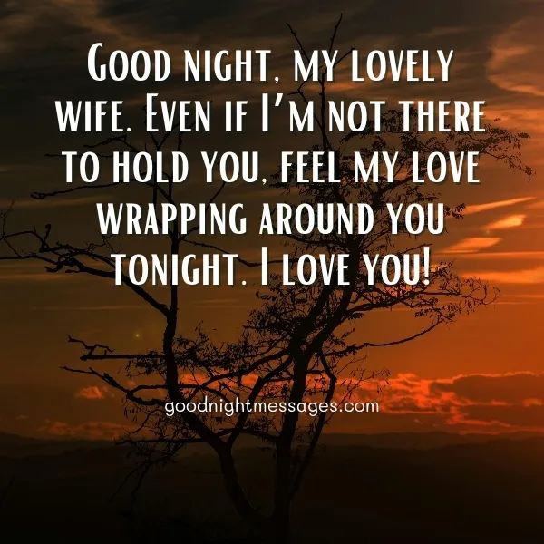 good night message to my lovely wife