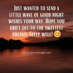 good night text message for her