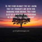 heart touching good night message