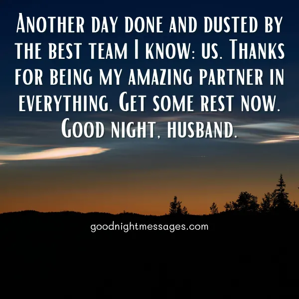 good night wish for my husband