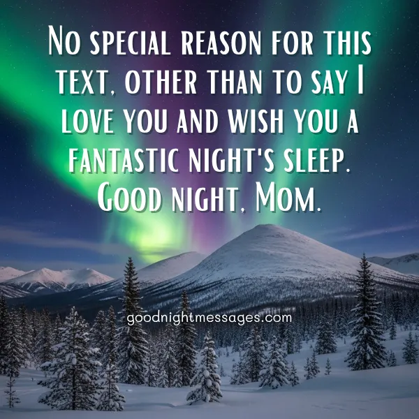 heartfelt good night wish for my mother