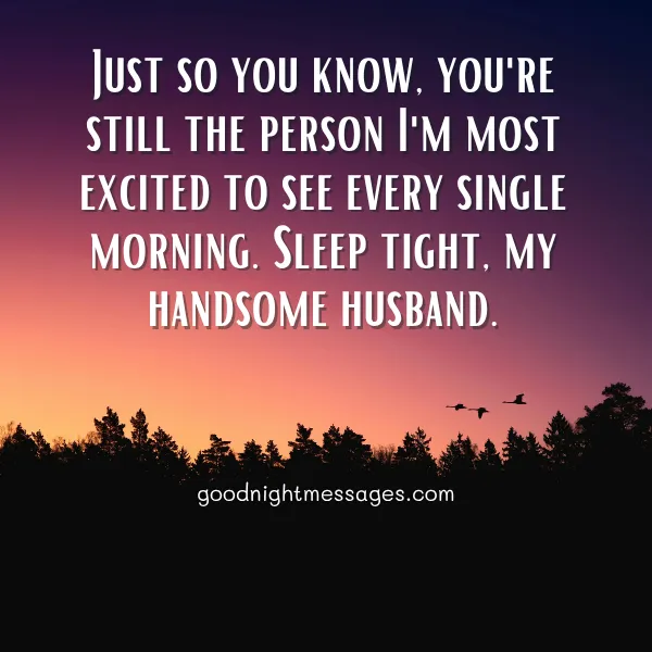 heartfelt good night wishes to my loving husband