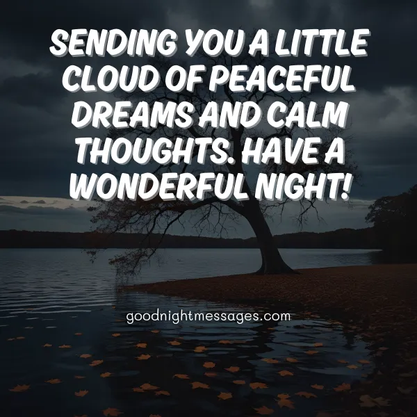 Sweet good night message to brighten her night sweet good night message to brighten her night