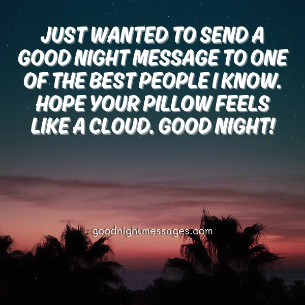 cute good night wish for a friend