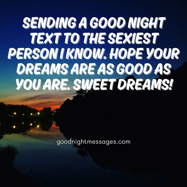 flirty good night message for him