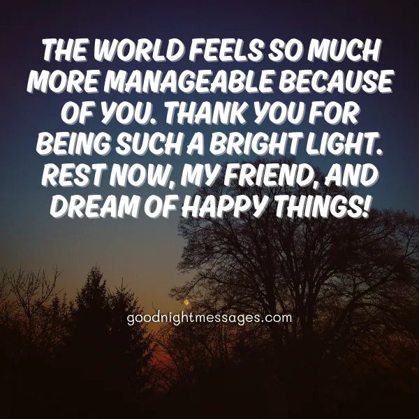 heartfelt good night wish for a friend