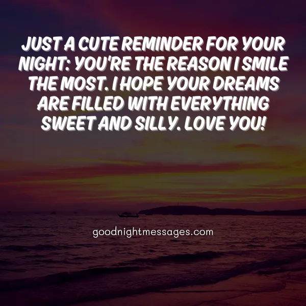 cute good night message for boyfriend
