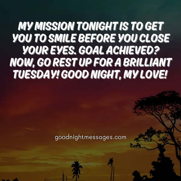 good night message to make my love smile