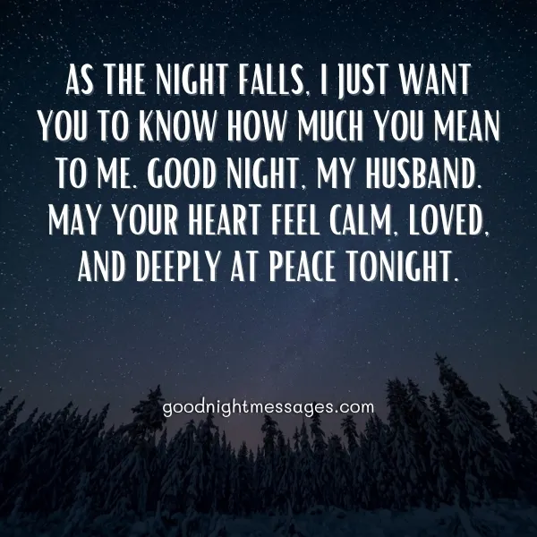 deep good night message for husband to touch his heart with loving words and peaceful snowy forest under a starry night sky