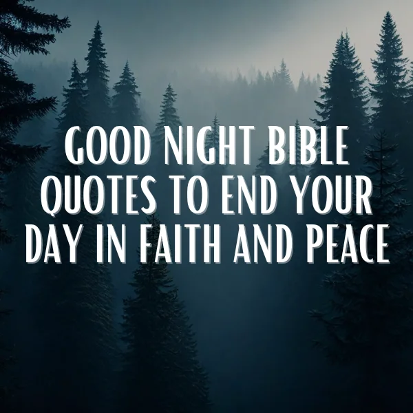 Tall pine trees disappearing into a serene misty forest at night, reflecting the calm and faithful spirit of good night Bible quotes to end your day in peace